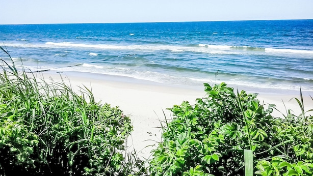 A beach with waves, greenery, and a clear sky.