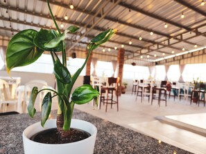 A potted plant in a modern indoor space with a high ceiling and exposed beams. - Hotel Quinto Nivel RD (Salcedo)