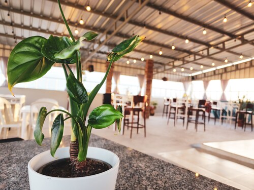 Hotel Quinto Nivel RD