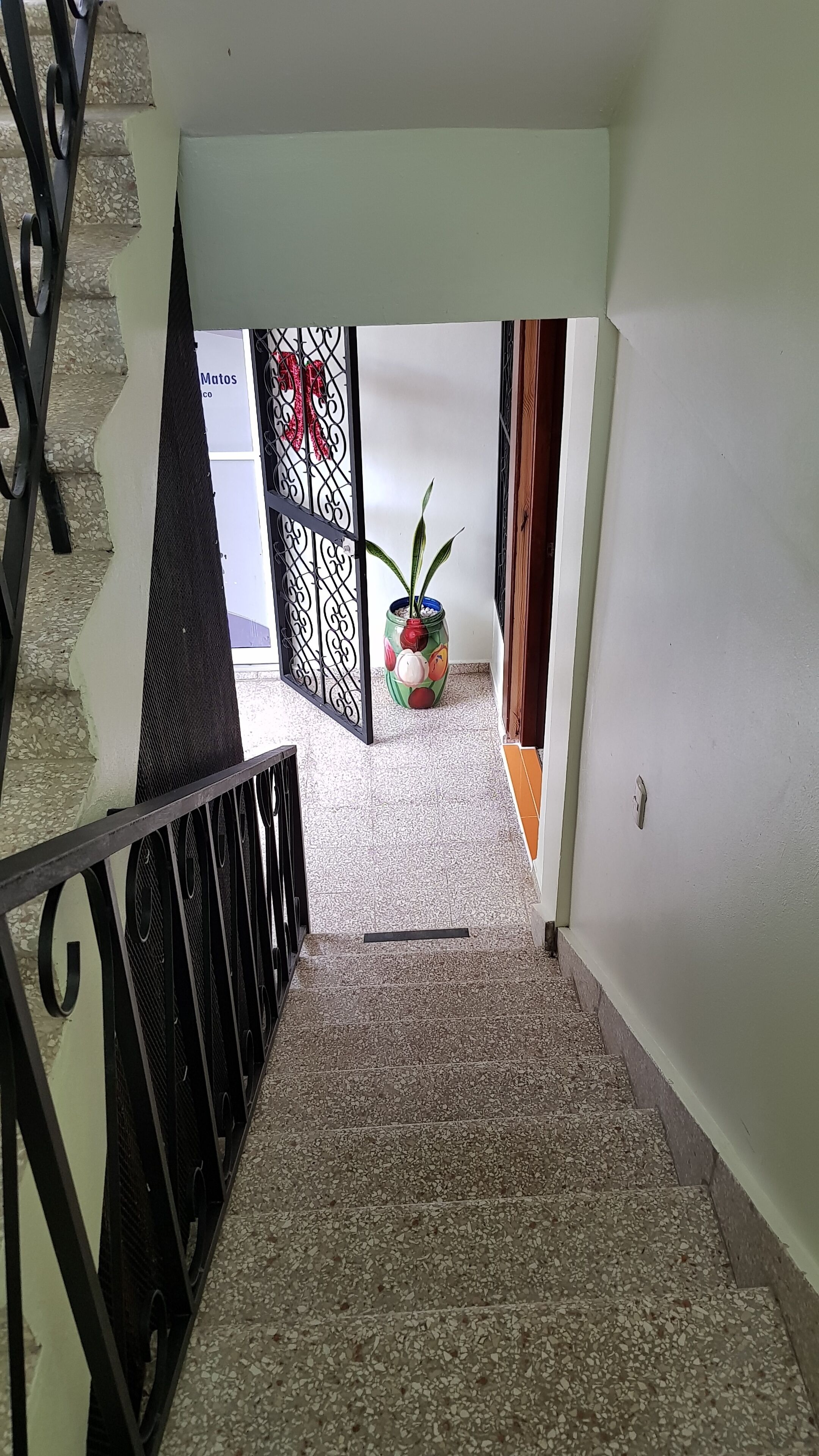 A staircase with a textured floor leading to a room with a door and a decorative plant.