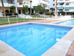 A swimming pool with a geometric tile pattern, surrounded by a white fence and a small garden area with palm trees and shrubs.