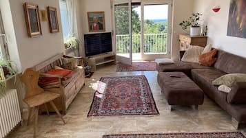 Smart-TV, Tischtennisplatte, Bücher, Stereoanlage