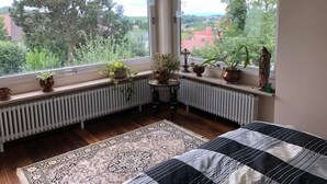 A bedroom with a large window, a radiator, a patterned rug, and a bed with a checkered bedspread.