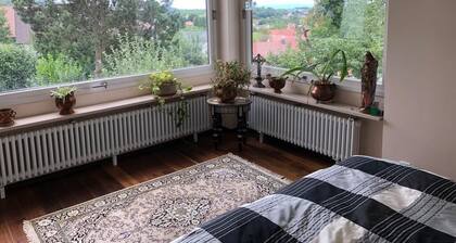 Appartement luxueux avec vue sur les vignes et la plaine du Rhin