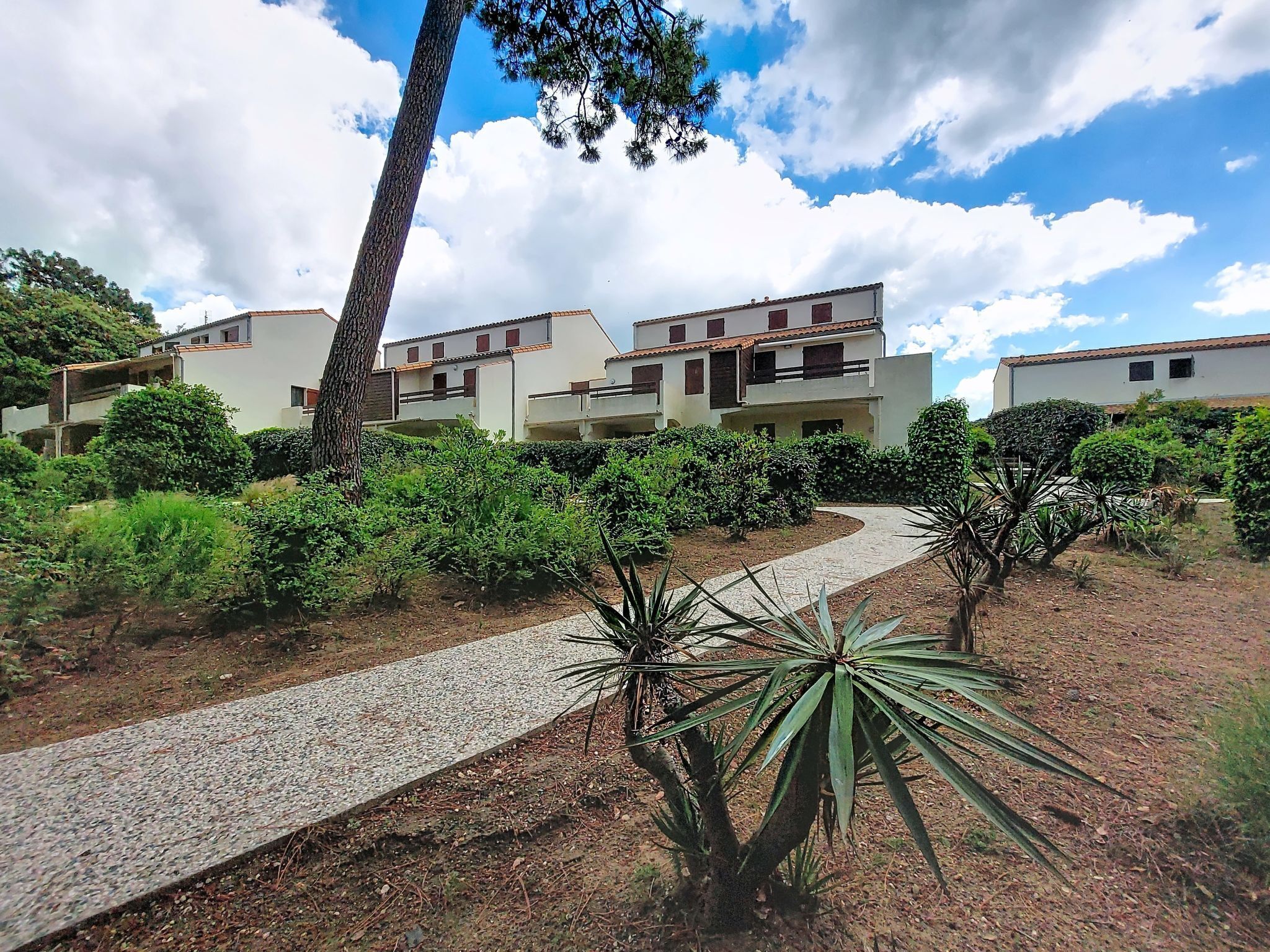 Zona residencial con casas modernas, un sendero de grava y abundante vegetación bien cuidada.