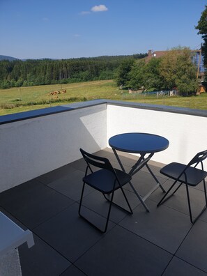 Outdoor dining - Cozy 55 m² vacation apartment in a quiet location, only 3 km to Schluchsee. (Schluchsee)