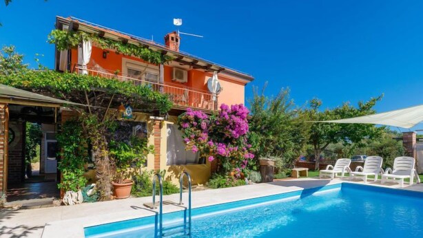 Zwembad met metalen trap, omringd door potplanten en bloemen.
