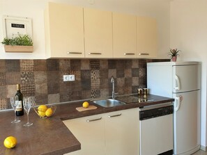 Fridge, microwave, stovetop, dishwasher