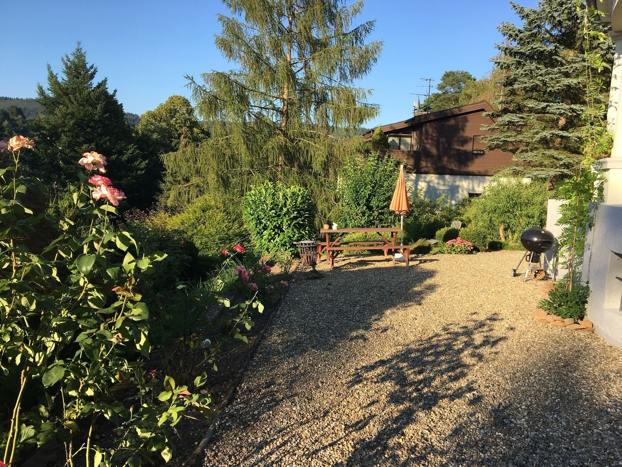 Een grindpad leidt naar een houten picknicktafel met een parasol, omgeven door weelderige begroeiing en een huis met een schuin dak.