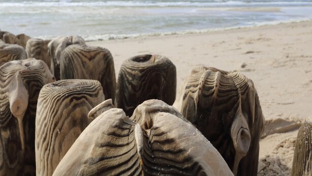 Una playa con rocas grandes y a rayas.