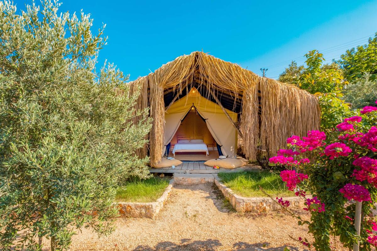 A thatched-roof tent with a bed inside, surrounded by olive trees and vibrant flowers.