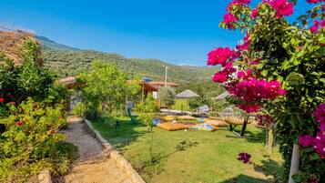 Comfort Tent | Free WiFi