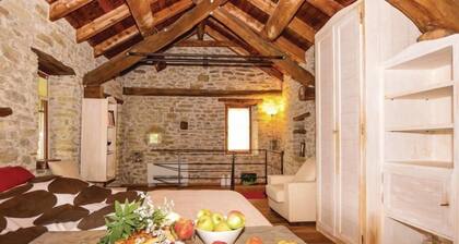 Maison de vacances Niella Belbo pour 1 - 3 personnes - BĂątiment historique