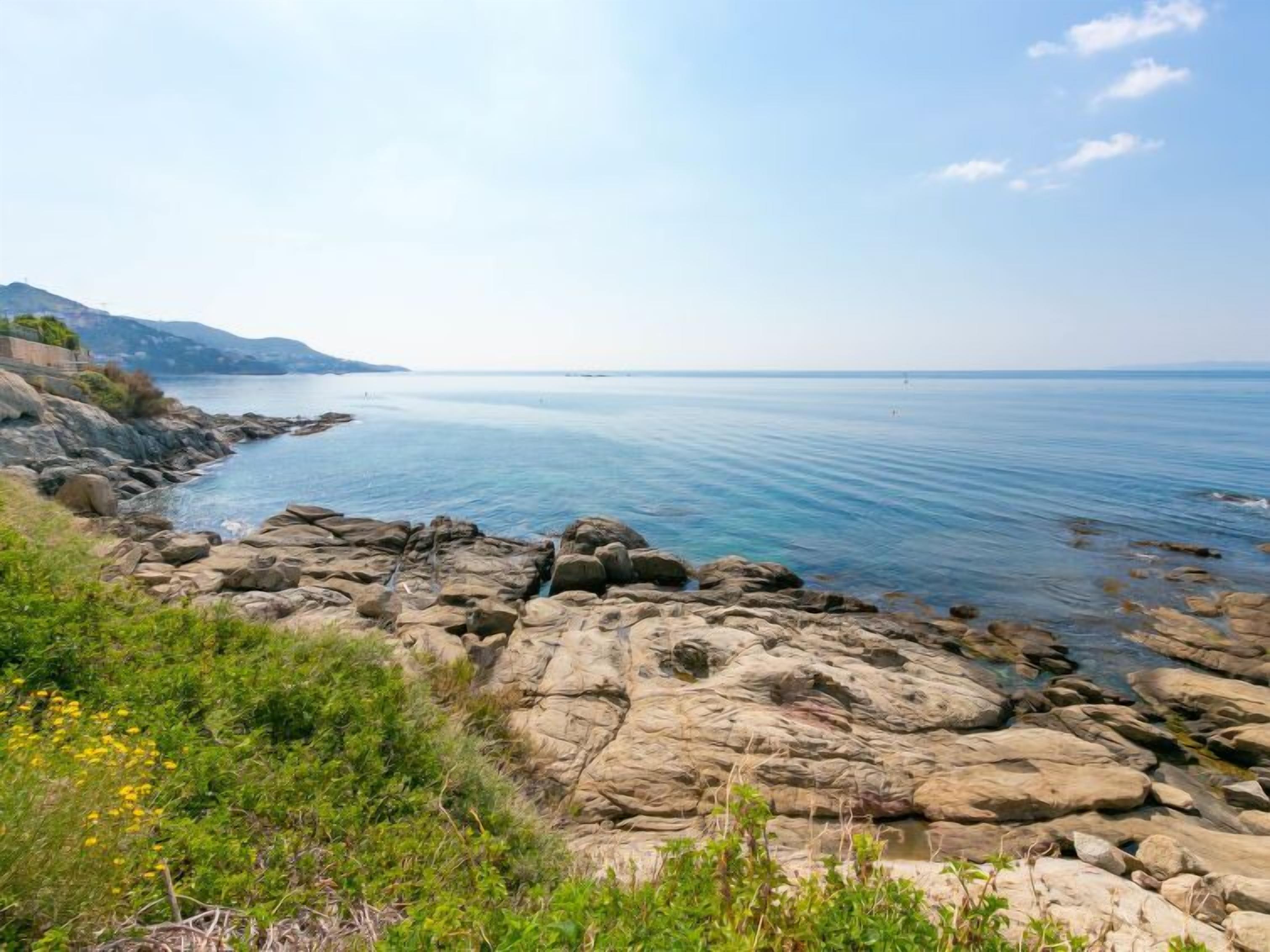 A rocky shoreline with clear blue water and distant mountains.