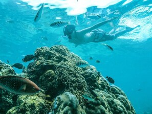 On the beach, white sand - Sammada Hotel & Beach Club (Lembongan Island)