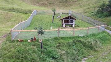 Enceinte de lâhĂ©bergement