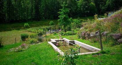 Appartement de vacances GĂ€nsbrunnen pour 1 - 7 personnes avec 3 chambres Ă coucher - Ferme