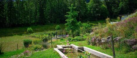 Parco della struttura