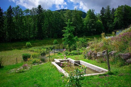 Holiday apartment Gänsbrunnen for 1 - 7 persons with 3 bedrooms - Farmhouse