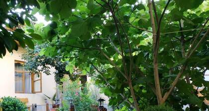 Hostel&Guesthouse Sim Sim