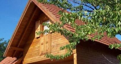 Holiday house Balatonfõkajár for 1 - 7 persons with 3 bedrooms - Holiday home