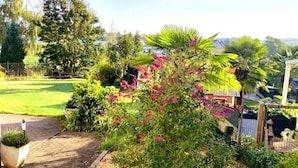 Un jardín con diversas plantas y un sendero pavimentado.