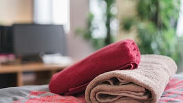 Estudio clásico (Elbflorenz) | Vista a la ciudad