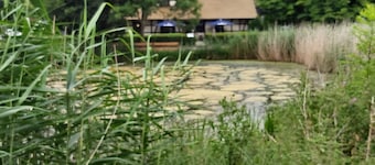 Vakantie in het vakantiepark Gollwitz