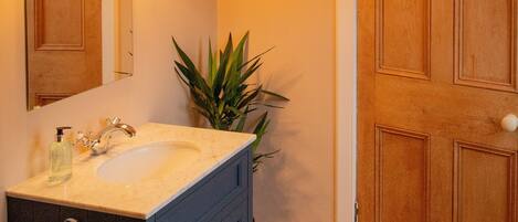 A bathroom with a sink, mirror, and wooden door.