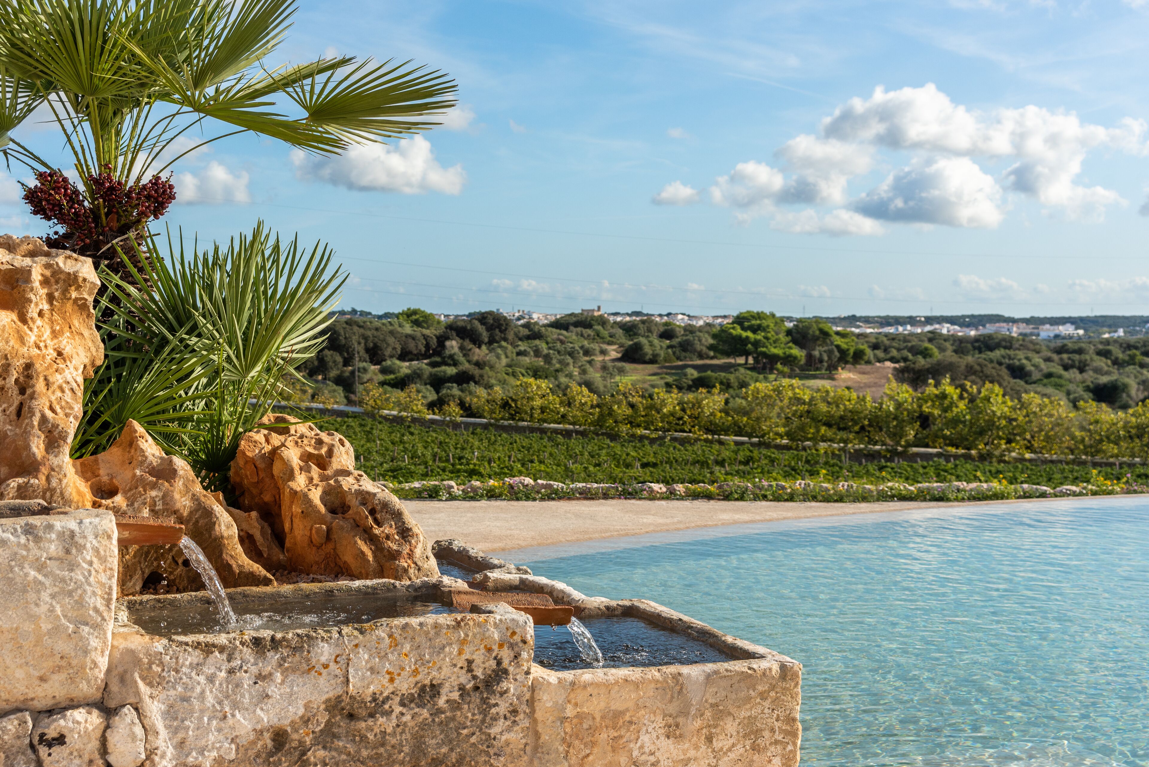 A pool with clear blue water, surrounded by rocks and palm trees, with a view of a distant landscape.