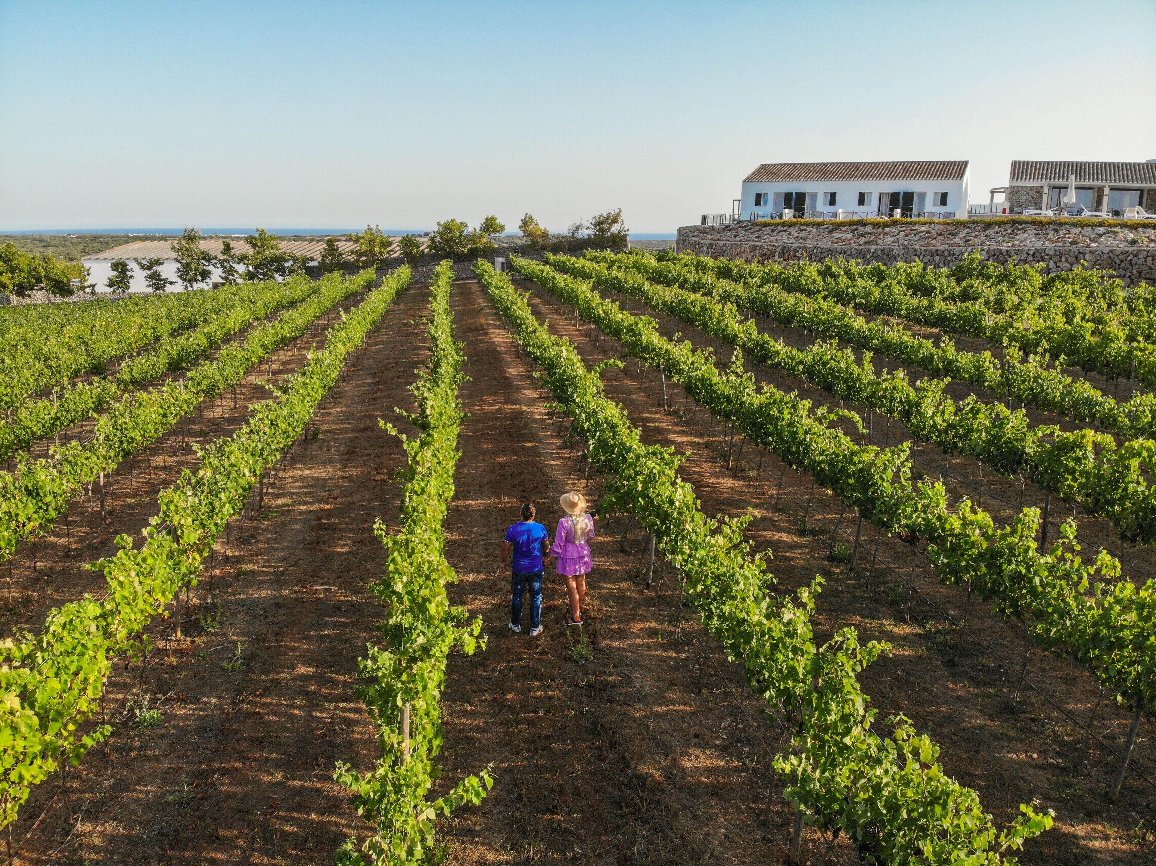 Photo - Agroturismo Llucasaldent Gran Menorca - Adults Only