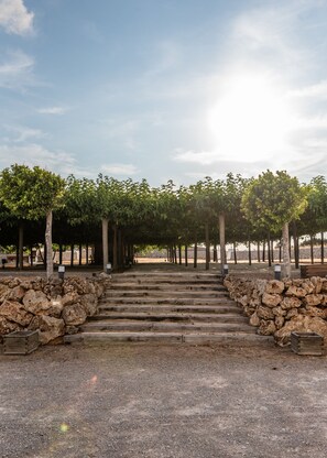 Un escalier en pierre menant à une zone abritée, bordée d’arbres.