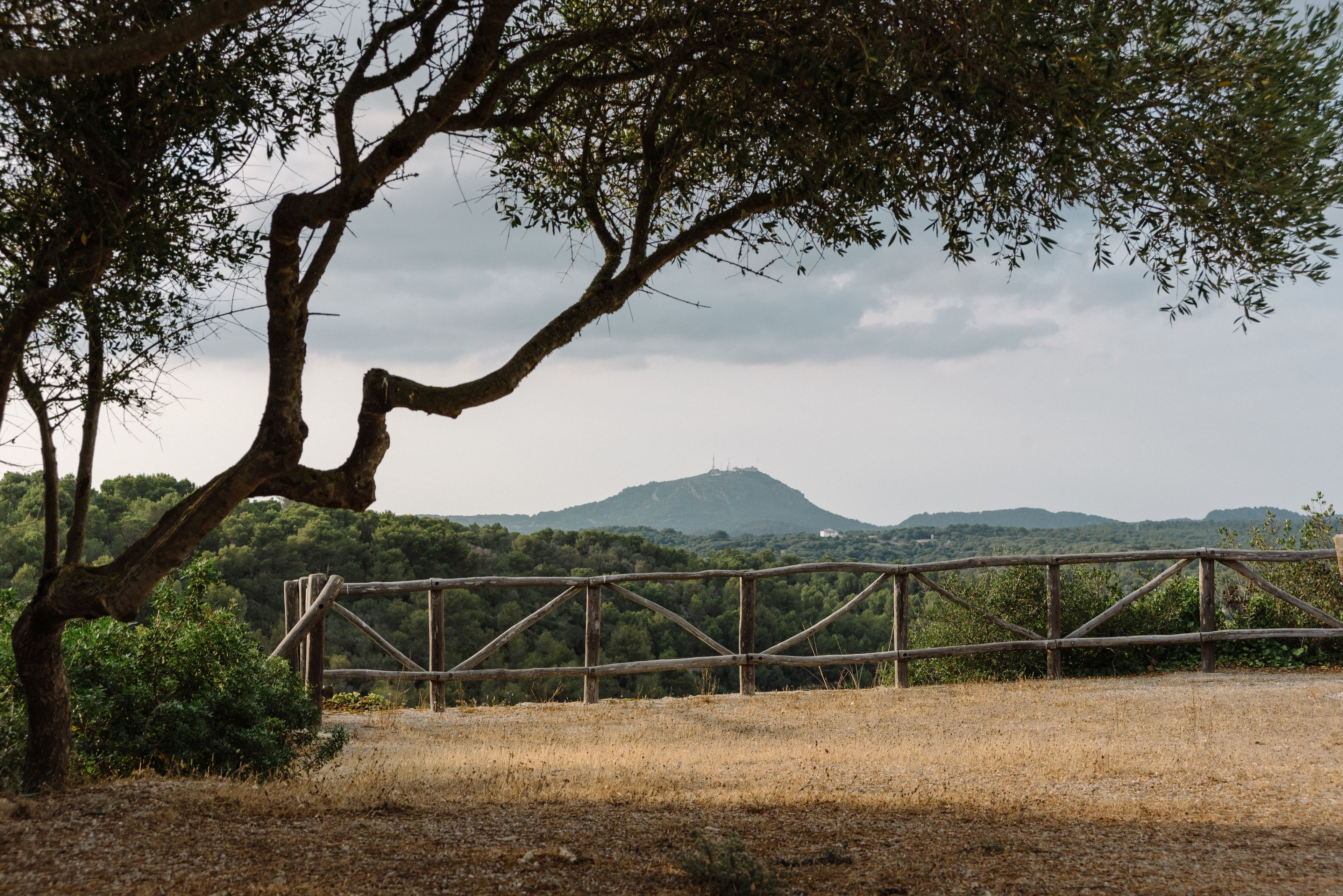 Foto - Agroturismo Llucasaldent Gran Menorca - Adults Only