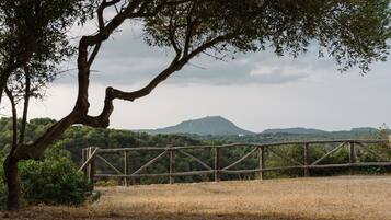 A rustic wooden fence, a dry grassy field, and a tree with a view of a hill in the background.