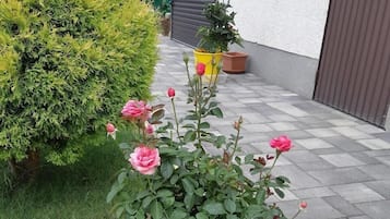 Details aan de buitenkant
