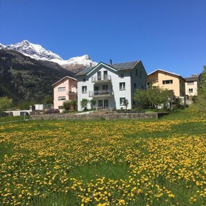 Exterior - Flat with mountain view (Poschiavo)