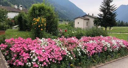 Appartement de vacances Poschiavo pour 1 - 2 personnes avec 1 chambre Ă coucher - Appartement de vac