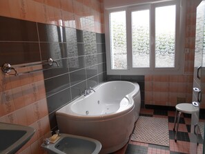 Shower, jetted tub, hair dryer, bidet