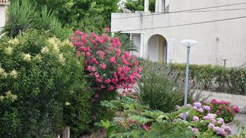 Parco della struttura