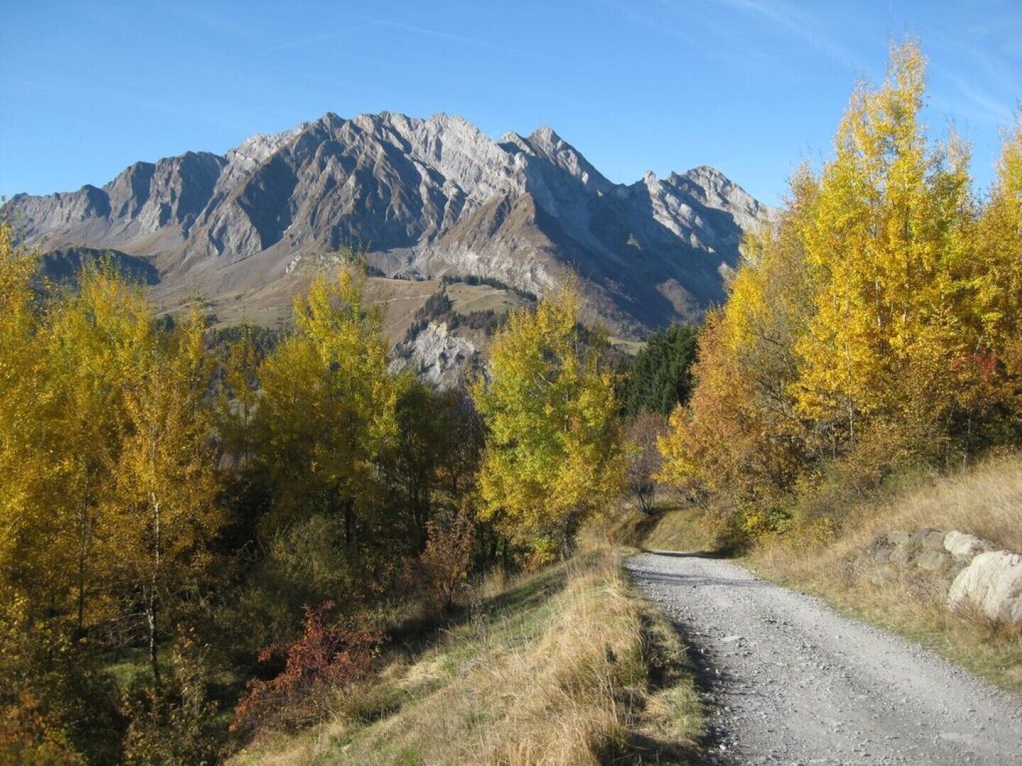 A gravel road leading through a mountainous area with autumn-colored trees.