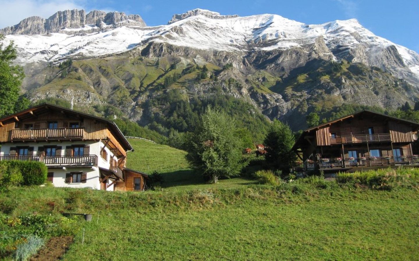 Une vue sur une montagne, avec des bâtiments de style chalet au premier plan.