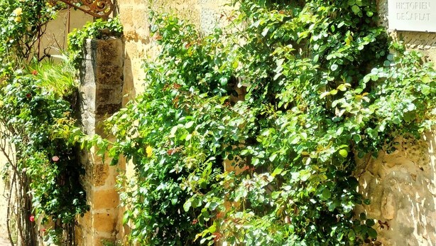 Un edificio de piedra con techo de tejas, balcón de madera y abundante vegetación.