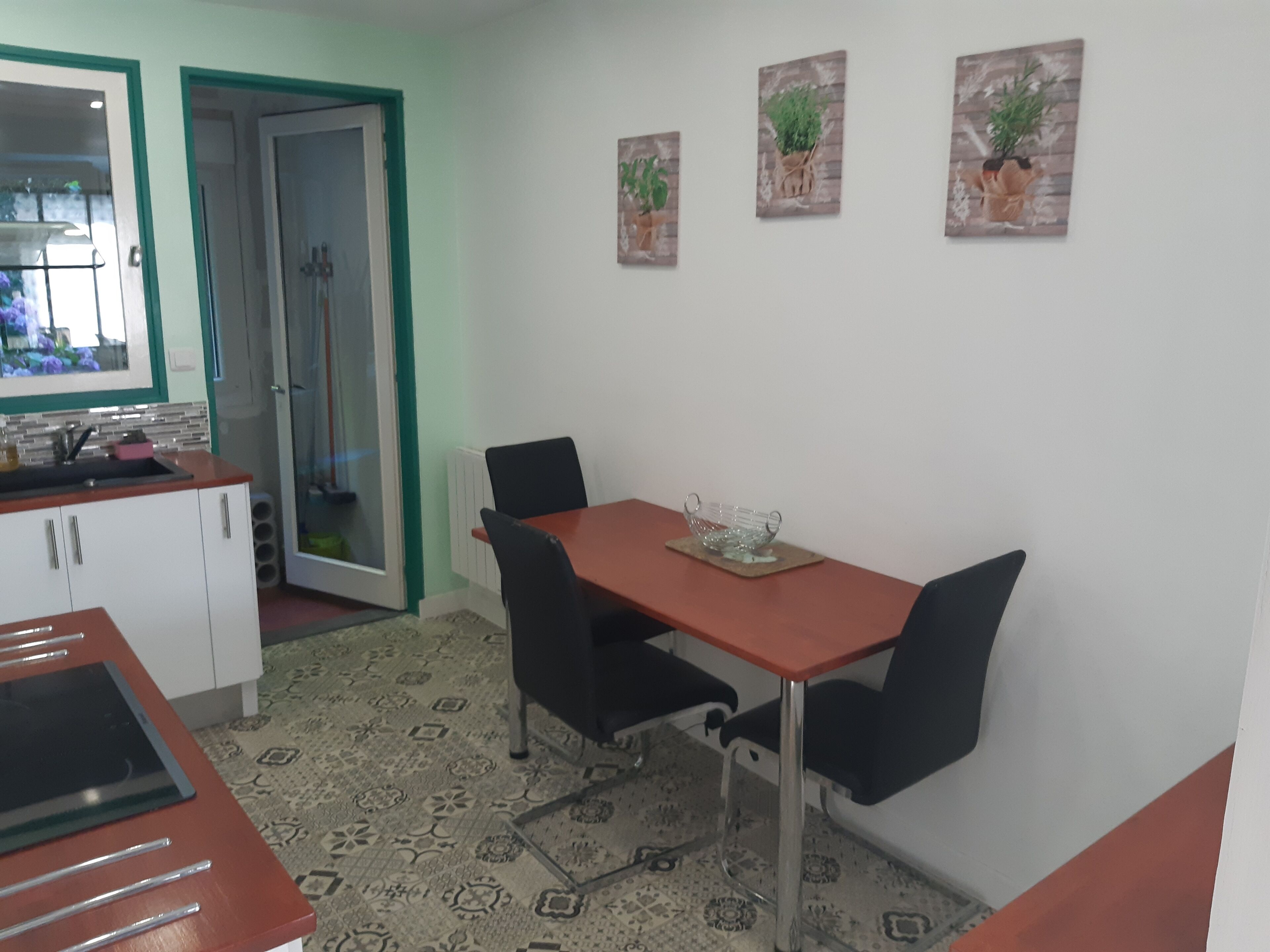 A dining area with a table and chairs, a kitchen area with cabinets and a sink, and three wall-mounted potted plants.