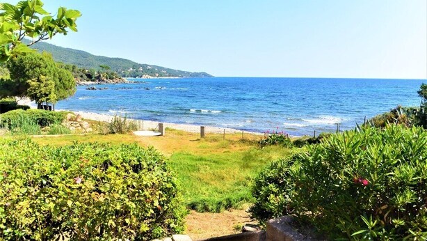 Un paisaje costero con vista al mar, una zona cubierta de hierba y vegetación.