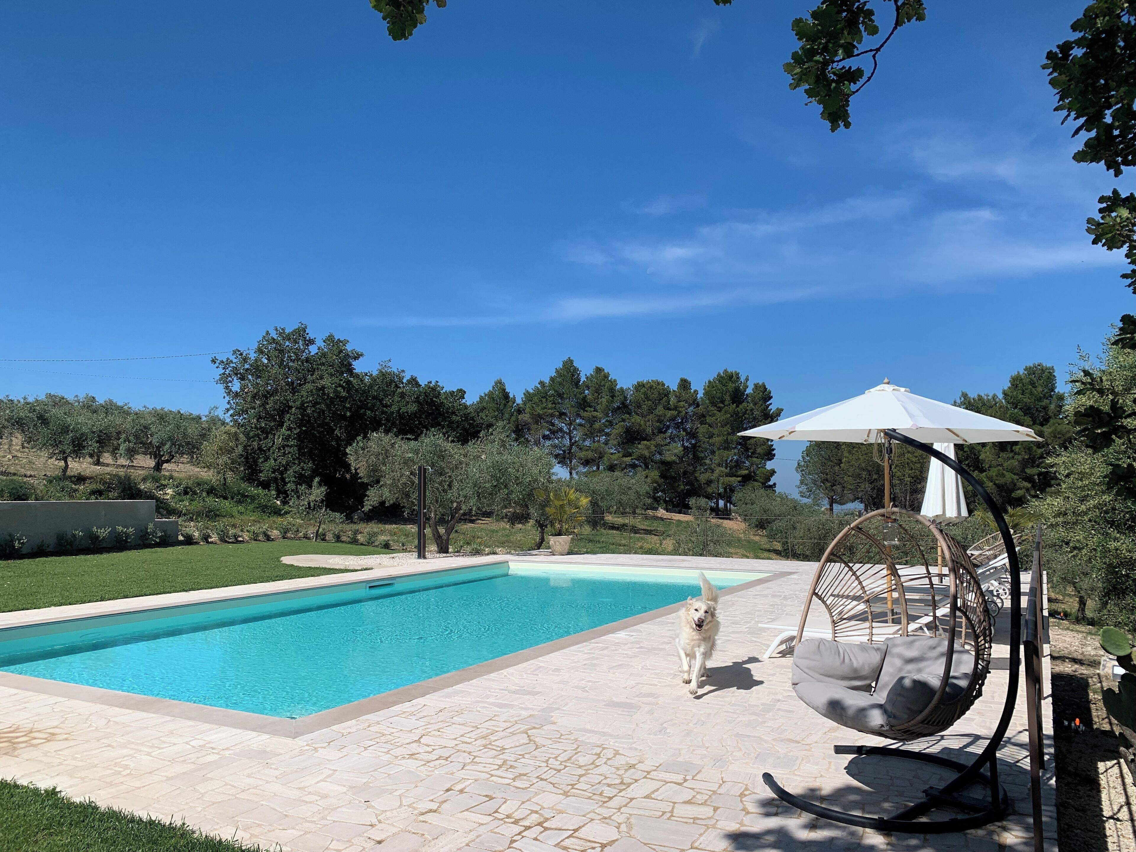 季節性室外泳池；免費小屋、泳池傘