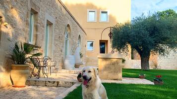 A dog sitting on a lawn in front of a building with stone walls and arched windows.