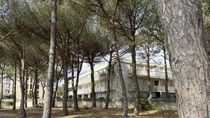 Un edificio con diversi balconi e una zona erbosa e arida con alberi.