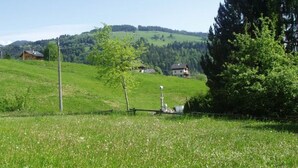 A grassy field with a bench and a lamppost, houses in the background, and a hill with trees.
