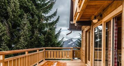 Chalet spacieux pour 15 pers, animaux admis, parking