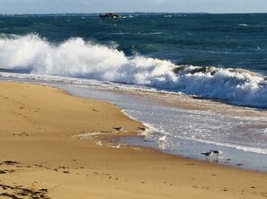 Strand